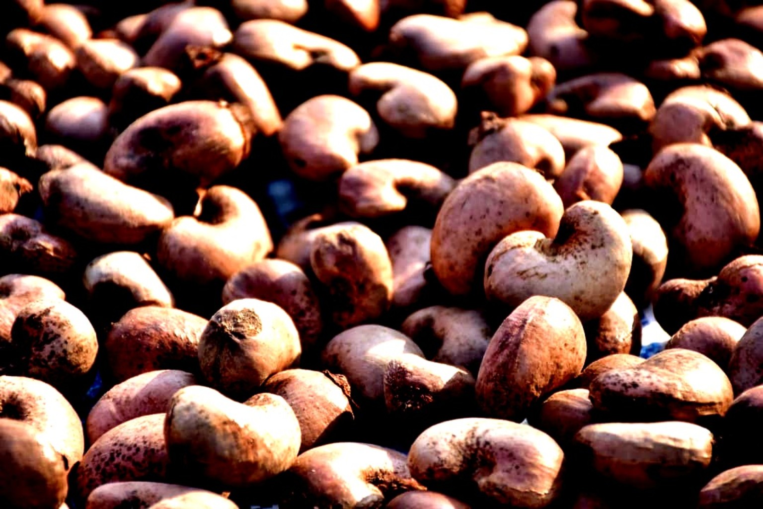 Premium Nigerian Cashew Kernels