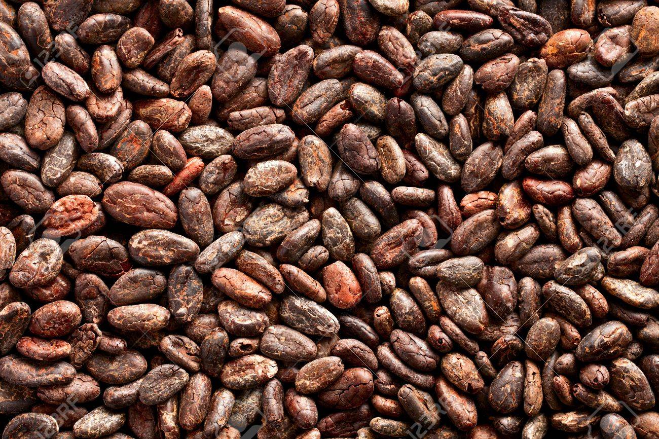 Premium Nigerian Cocoa Beans