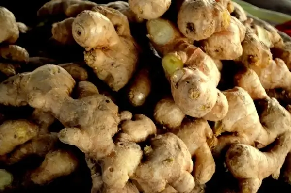 Fresh Nigerian Ginger
